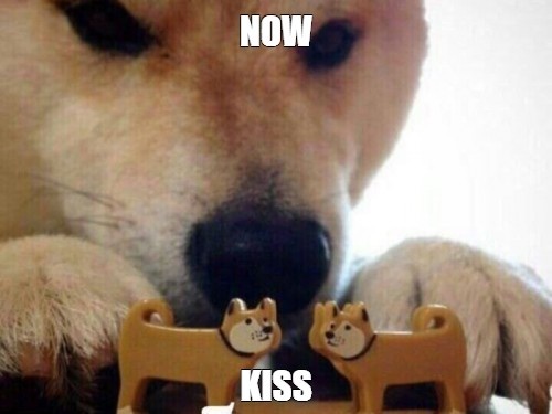 c9c371cf-56e5-45e5-a6b7-0f35061a037a