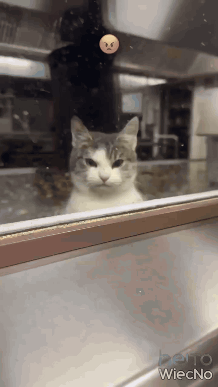 8bffdcdb-ec53-49b1-b041-a3487ce4bbd8