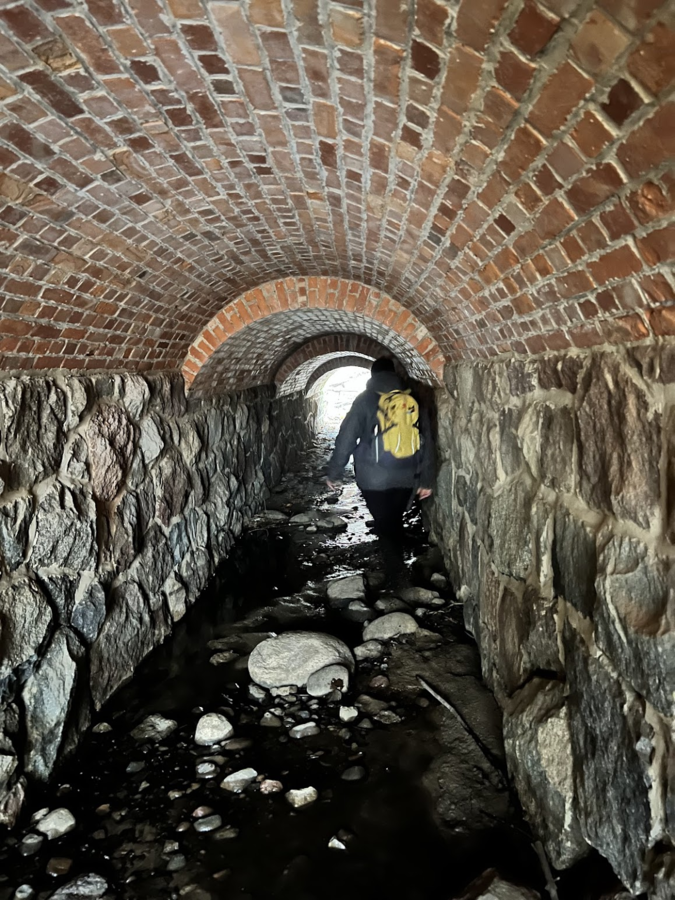 c273dcf0-b922-4d90-96d5-5d12ee45d1a8