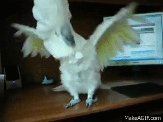 62245c36-c73d-4ced-b8f9-cfd158b1807a