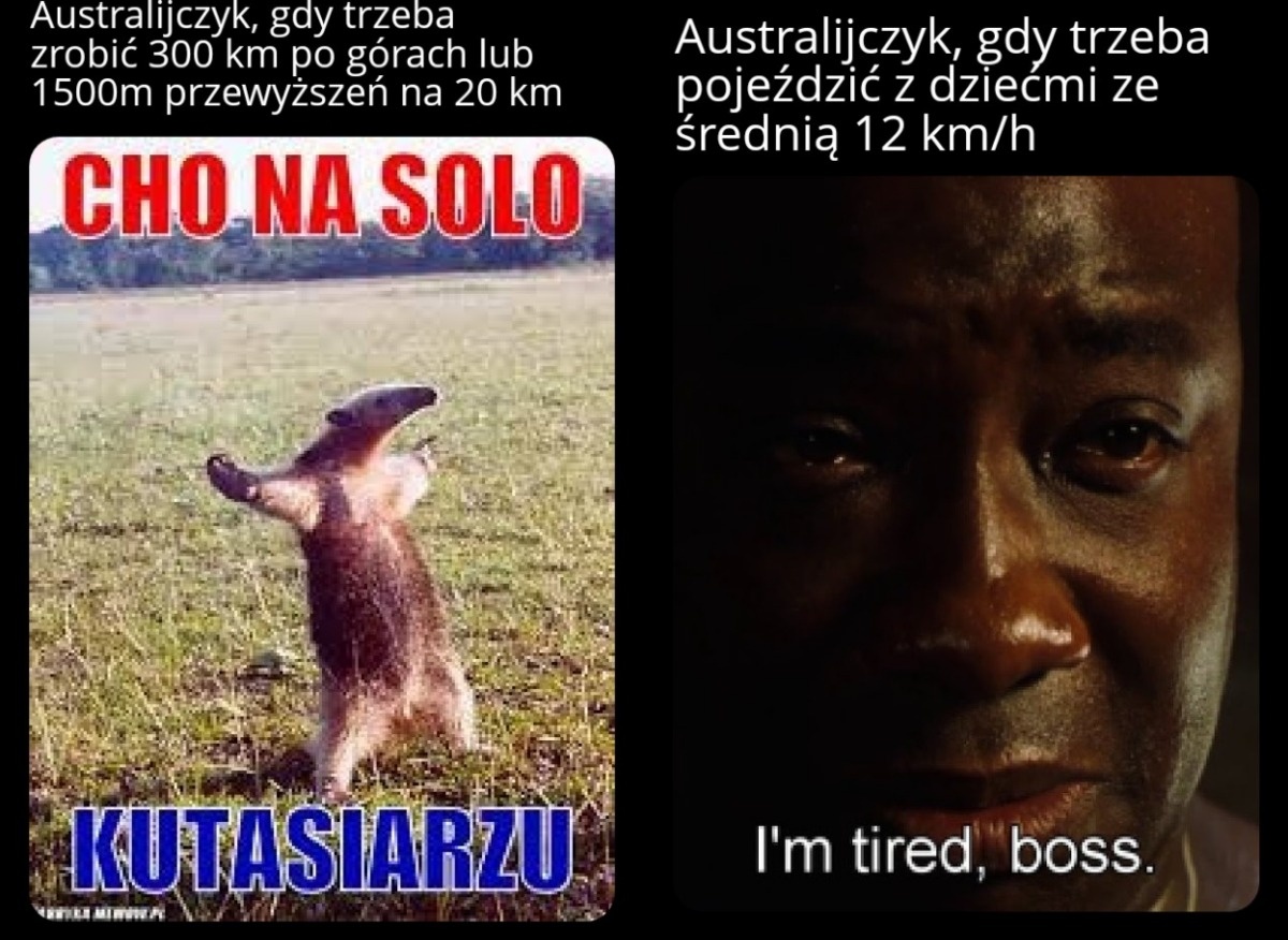 9eebdd63-8749-4333-bc1e-c52e7592e7b8