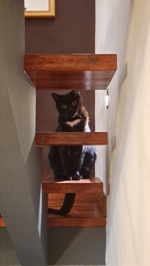 9b36fcd2-32dd-48c7-b180-4a65afb527fb