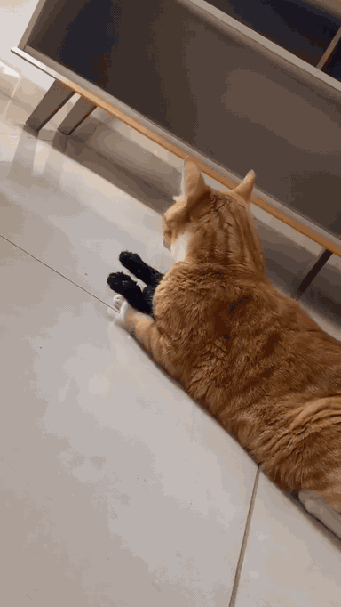 acd39288-5484-4765-97d9-413a9cf73cc5