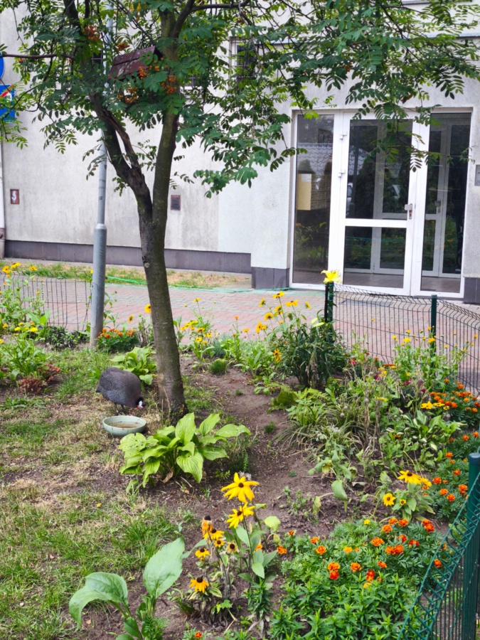 662202a6-b631-42a0-8314-384f63205084