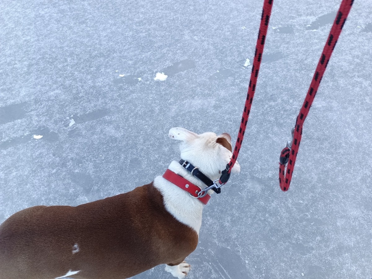 265af194-d765-4716-9a63-f5835f9c7774