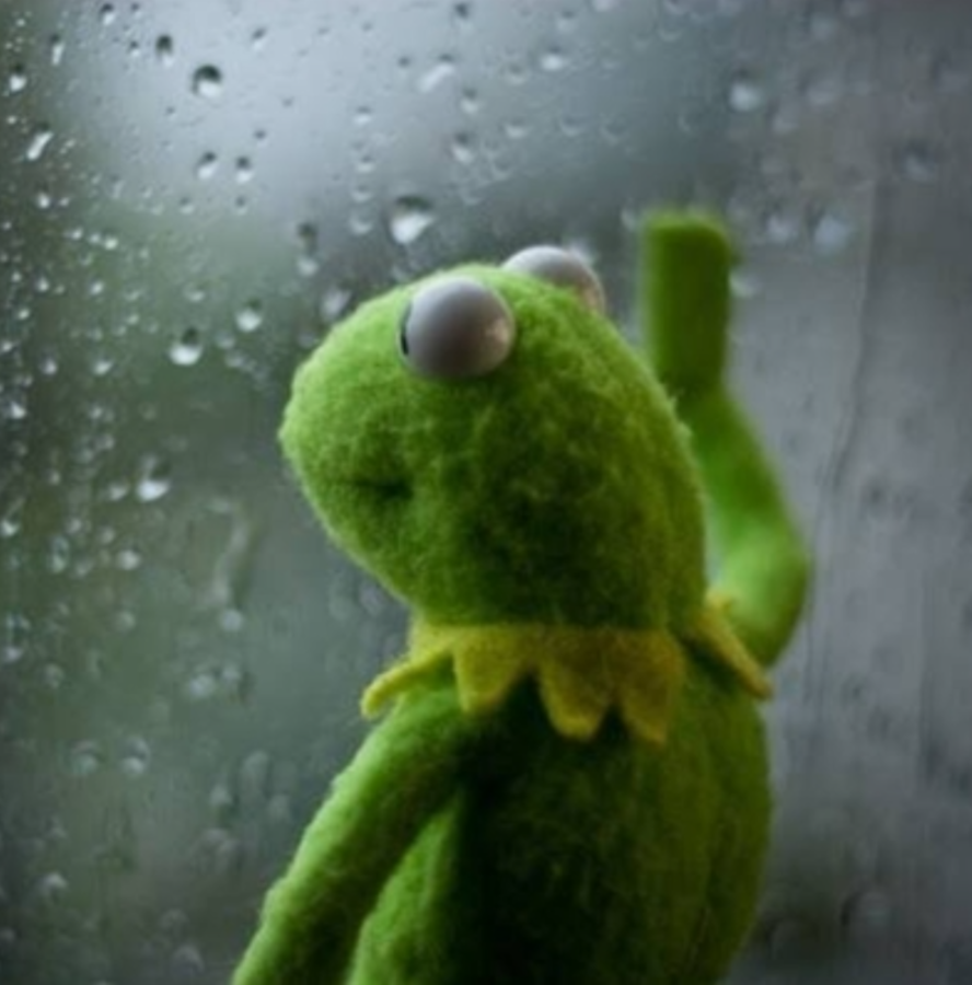 55b9b4cb-00ea-4ea7-95b1-963a3576cb38