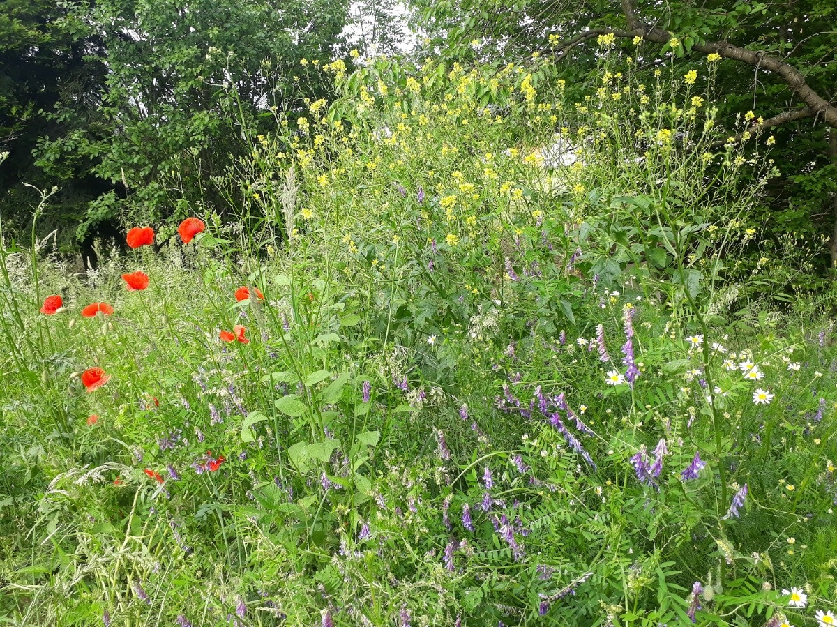 02498004-1e52-4dc9-898f-dd2df4cc3c01