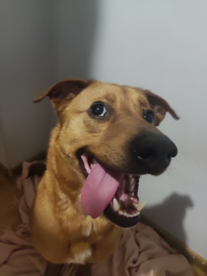 248986af-e010-480d-b171-567bc855c9b0