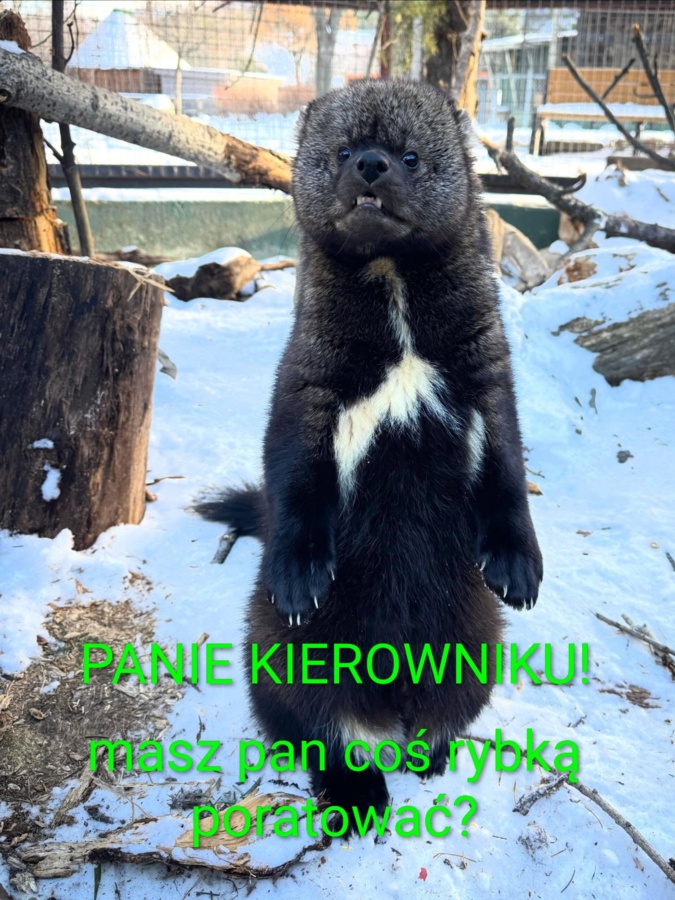 8d20e068-cea8-486b-a8e6-a63b4bbb9668