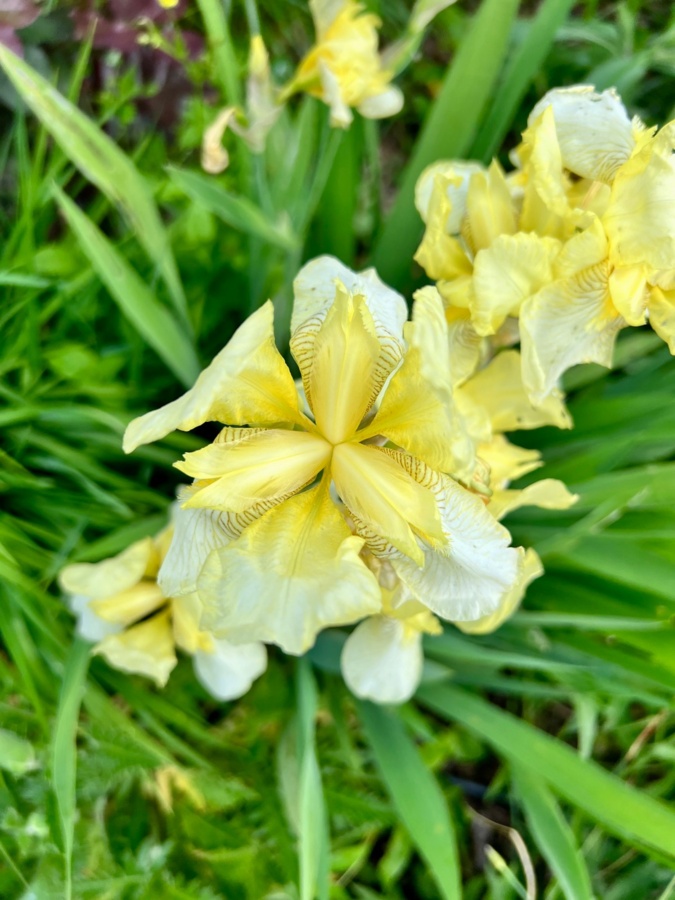 6a2b4661-3be2-46b4-8857-78e65ad5c9f1