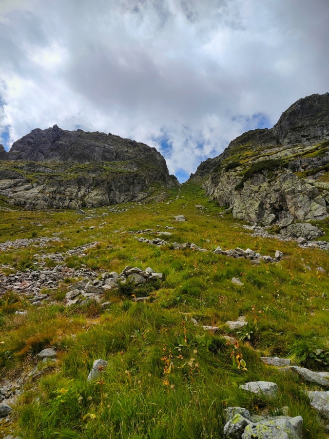 8d5d8117-9e9b-400f-982e-5627b92a7c84