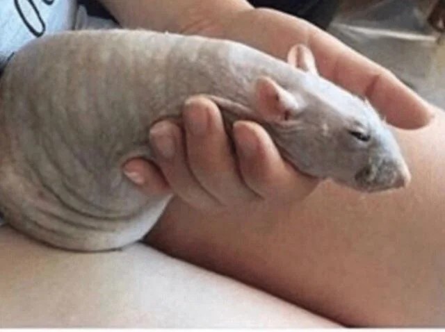 0a580f71-14f0-4830-a574-47e88efb75b3