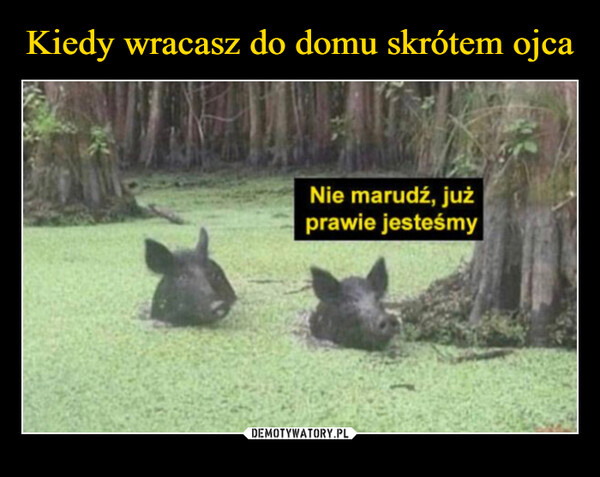 bf83df98-9a40-4875-ad82-b3f62413dced