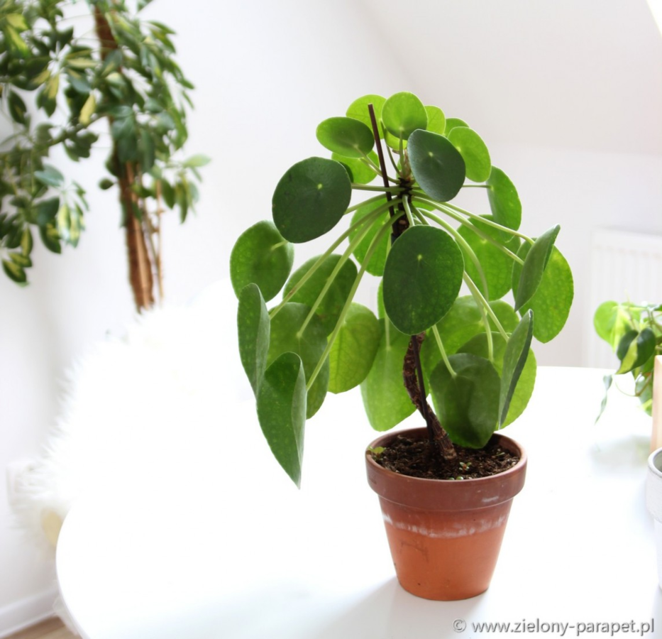 ec4fe73a-8315-49a1-b38c-27f4a5c2a991