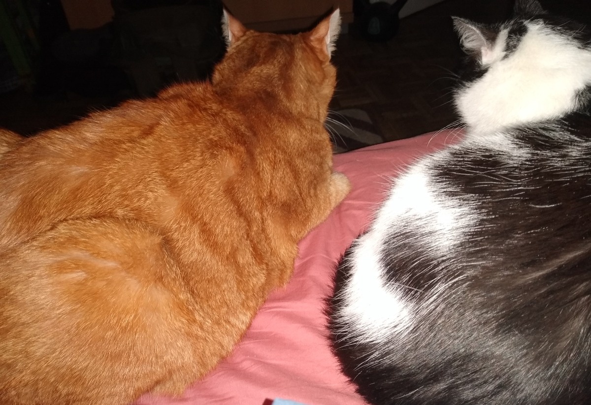 71cc3f75-6f46-47e6-ae27-be9cab74c204