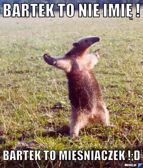 830cd2d1-2917-4585-99d4-4437c2c55eb9