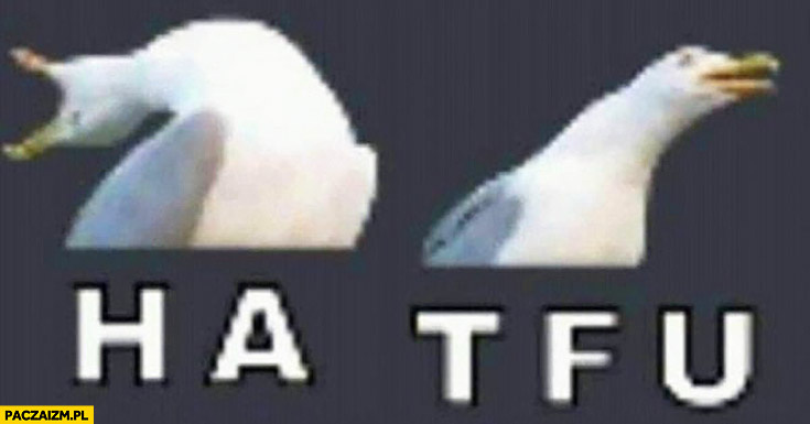 7ef29b5d-74f9-4d03-92a7-8948c2ed2f10