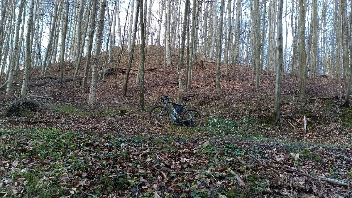 dc69419a-2203-4b0d-9098-0bc52e57b6b0