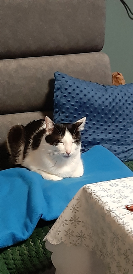 41ba1e27-82fe-49e2-afdc-8153ca7cec27