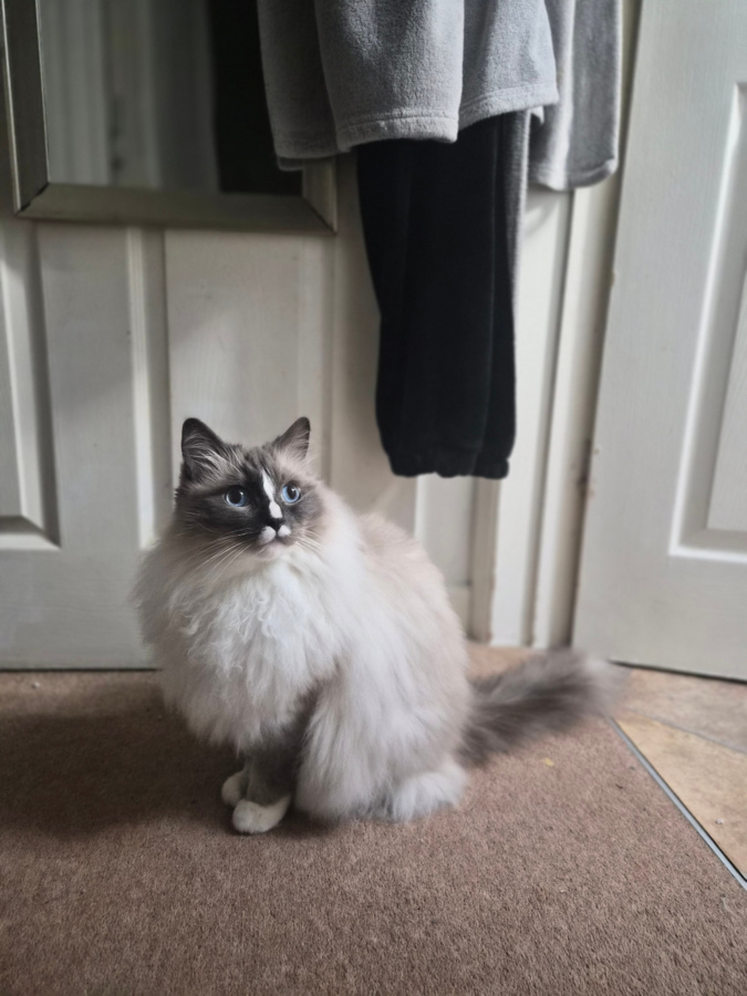 703b7534-138d-4c80-9e42-e36aeb757d86