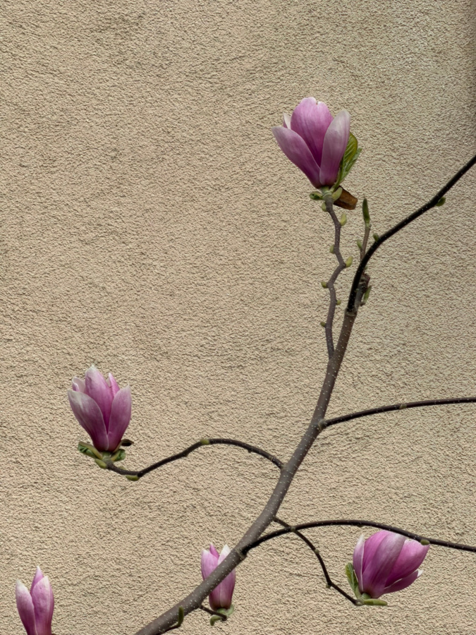 e5fb5ee9-f576-44f4-92bc-fd84bd7145af