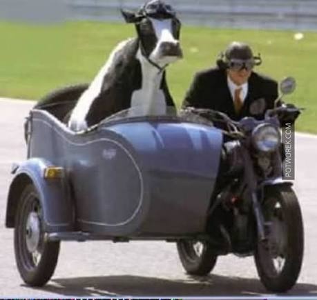 02d8f1da-d321-4802-9115-d60c34baaf2c