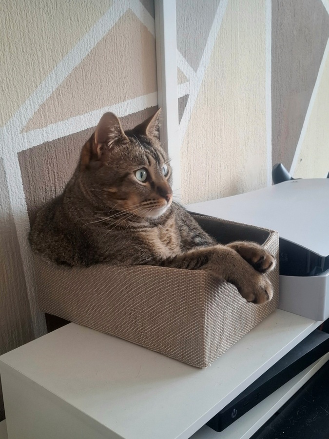 e384144a-408c-4821-a9f0-b3a3b602f4cf