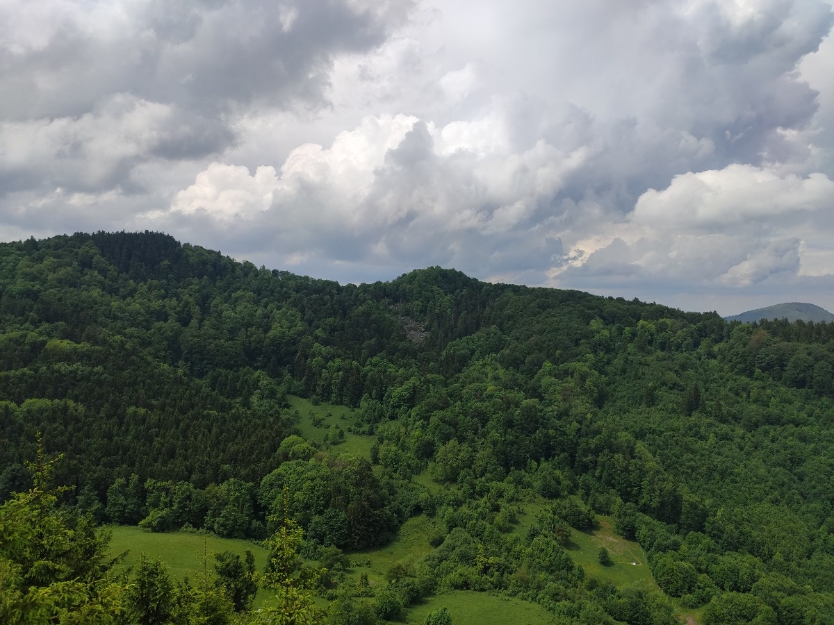 4d8737fd-4aed-4e91-9d67-1f5a00ee1089