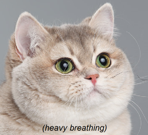 5c419847-cc70-4883-acbc-5db96b28f294