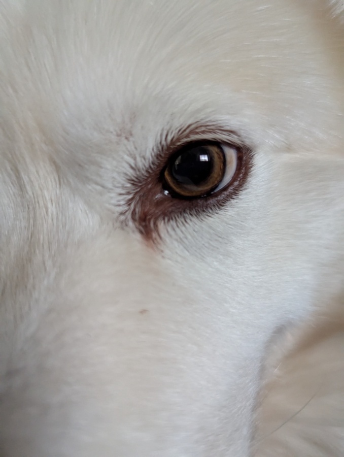 72ea987a-87c6-4627-96b1-4ec2cd0372a3