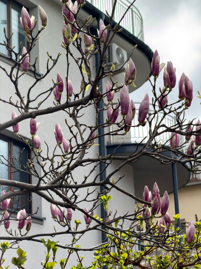 ef9a8fc5-0d92-42ad-b04c-0e6ea66588d2