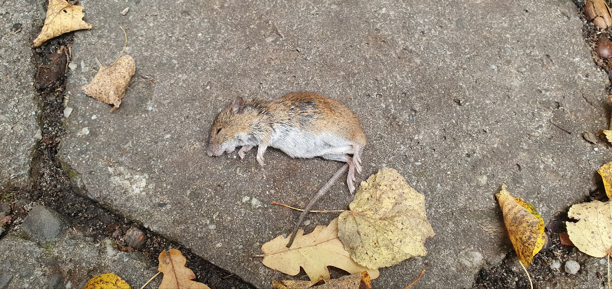 a47a1369-0a2e-4839-959b-406b7568ea14