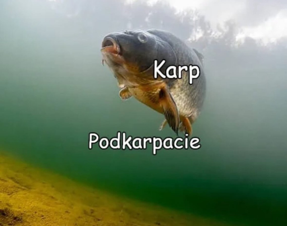 de84bc6b-244b-4aaa-a771-0e99ca2a42b2