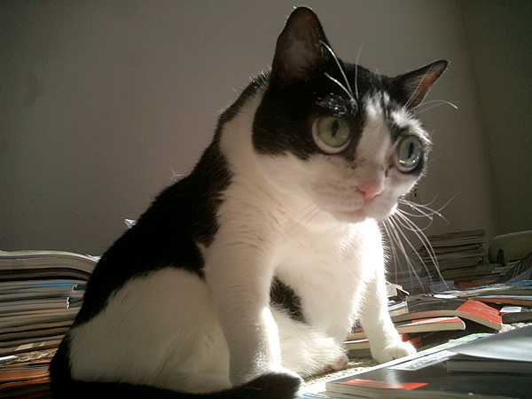 391a0f3c-1ec7-4c36-9698-0e928a6f2ffd