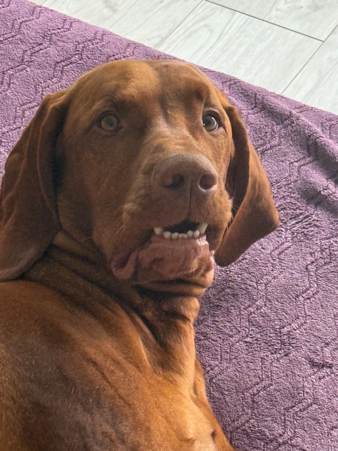 2e820e6f-c1d4-4762-a4d6-b53ae979e929