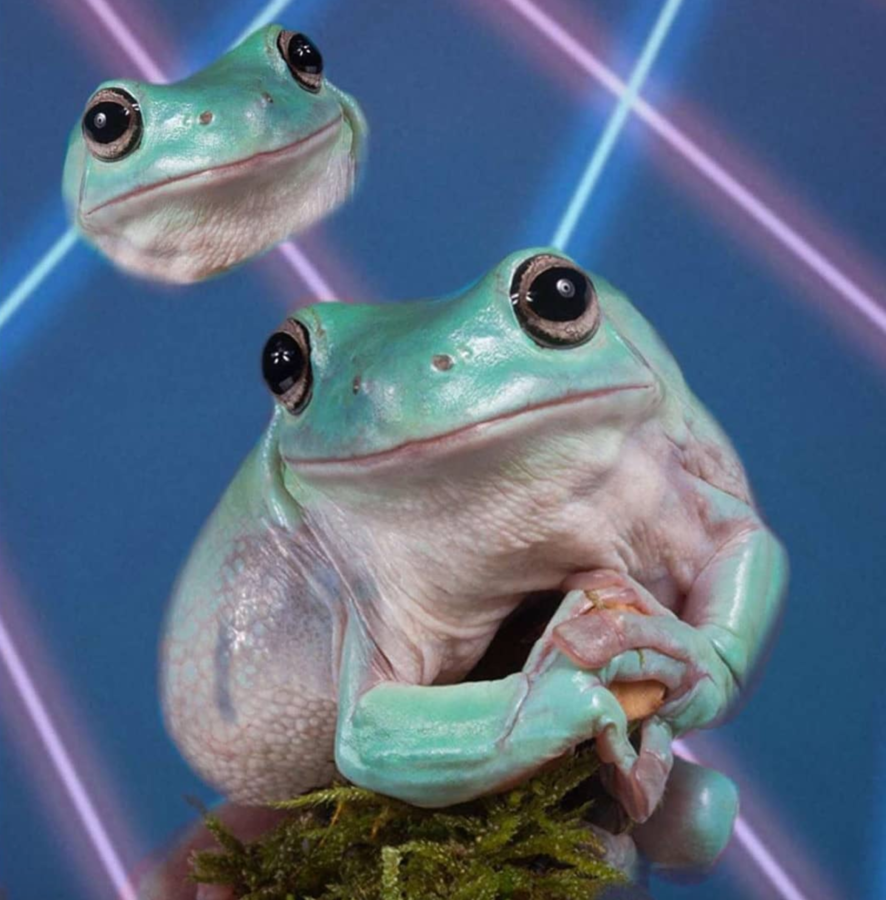 6f811de4-ffb5-48ef-9654-21c2c5b21c8d