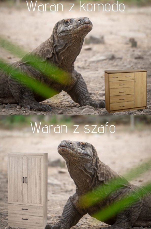 ad5f8fc2-97b0-42a4-804c-f7b839993895