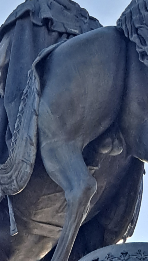 d21dbc74-3b70-4d3f-94f9-e6ab6e61d305