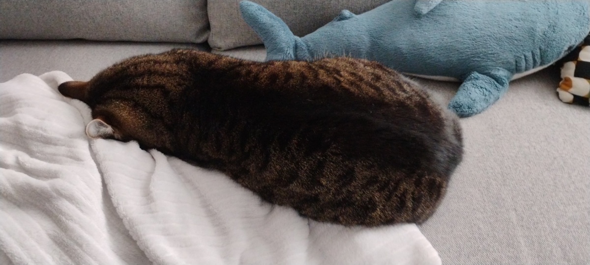 b9b2d946-ed09-4351-beb3-addce33dda74