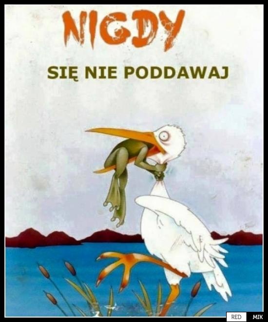 7f4a9107-34f4-4364-9298-3e036dd5813a