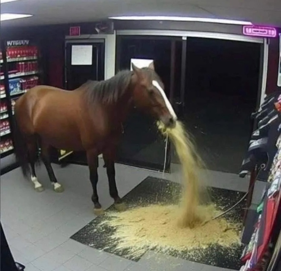 61df1b0e-c26e-4ff6-b1ee-fa2c2a44bee0