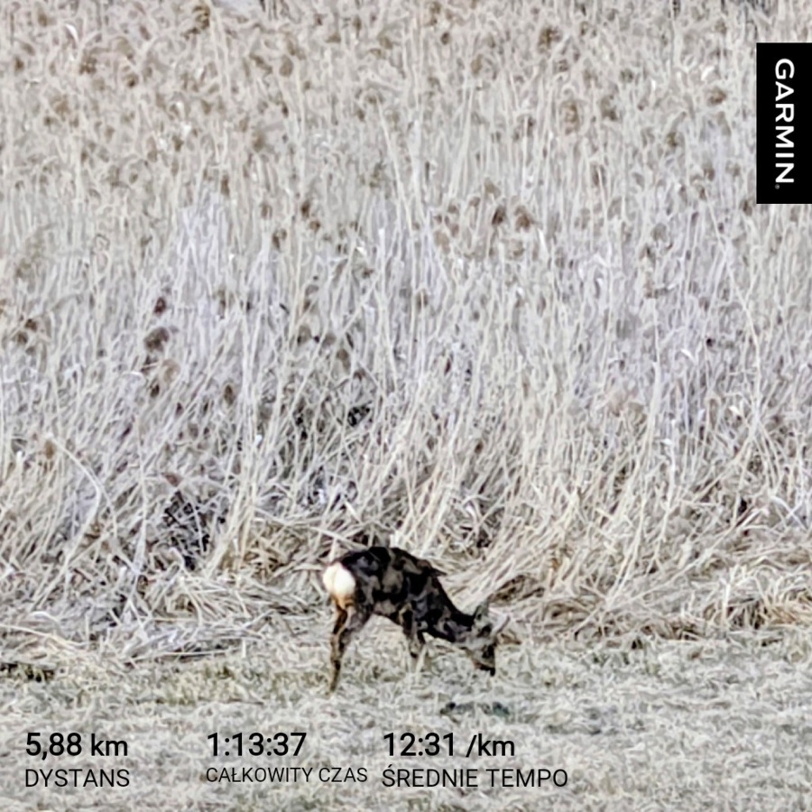 079d9e9e-a394-42d7-9645-b9af89350dee