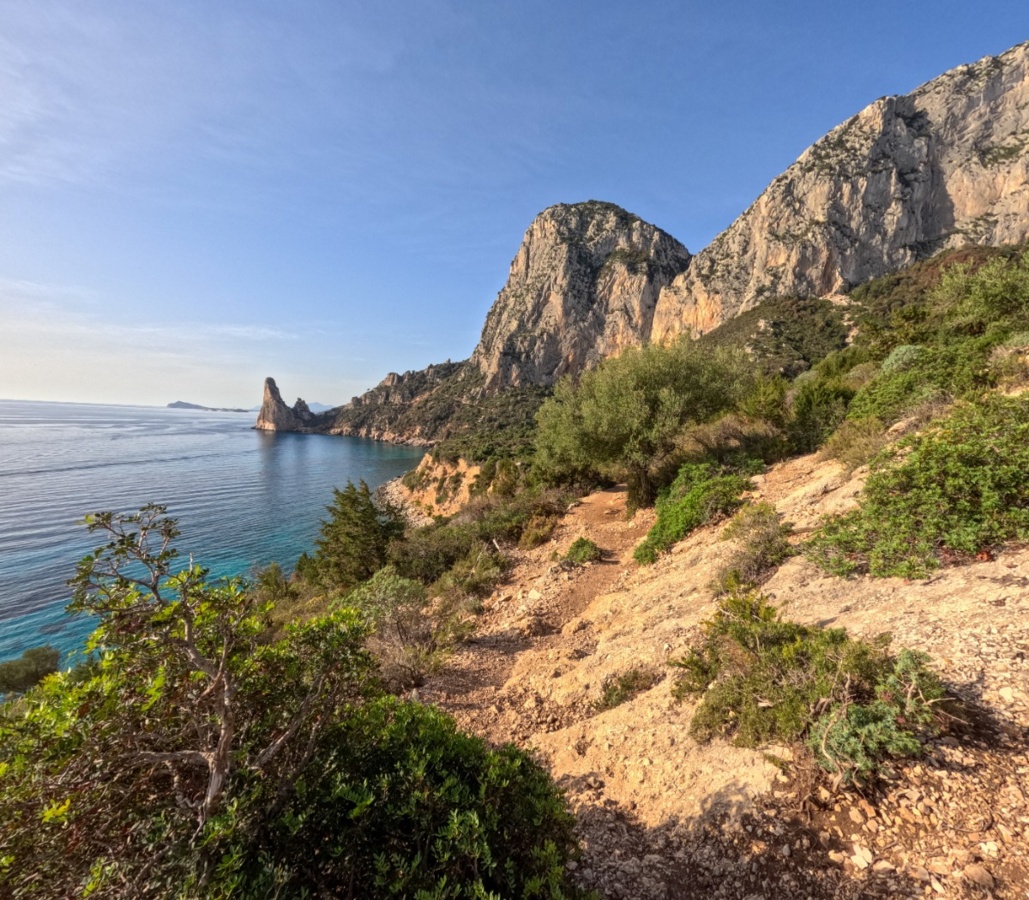 66d7a672-7373-4487-9bee-df4b11766b08