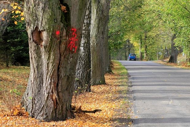 966fe2a3-4c4c-4d20-a90b-51c5a9d4fe49