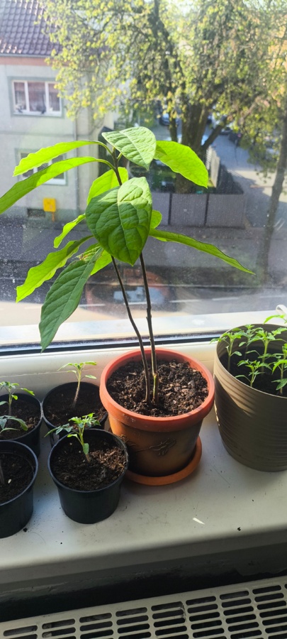 515b989b-b800-4d47-89be-8ba8576a0fbb