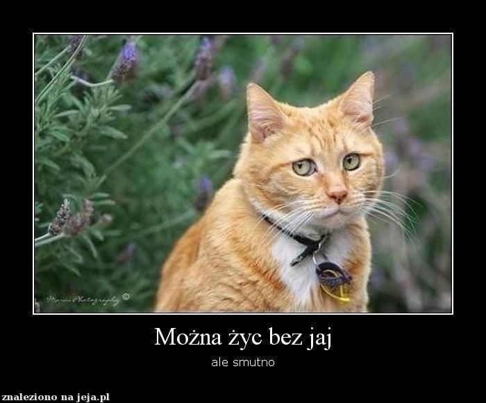 f762b87e-87ed-4fae-ad4a-f6449b472236