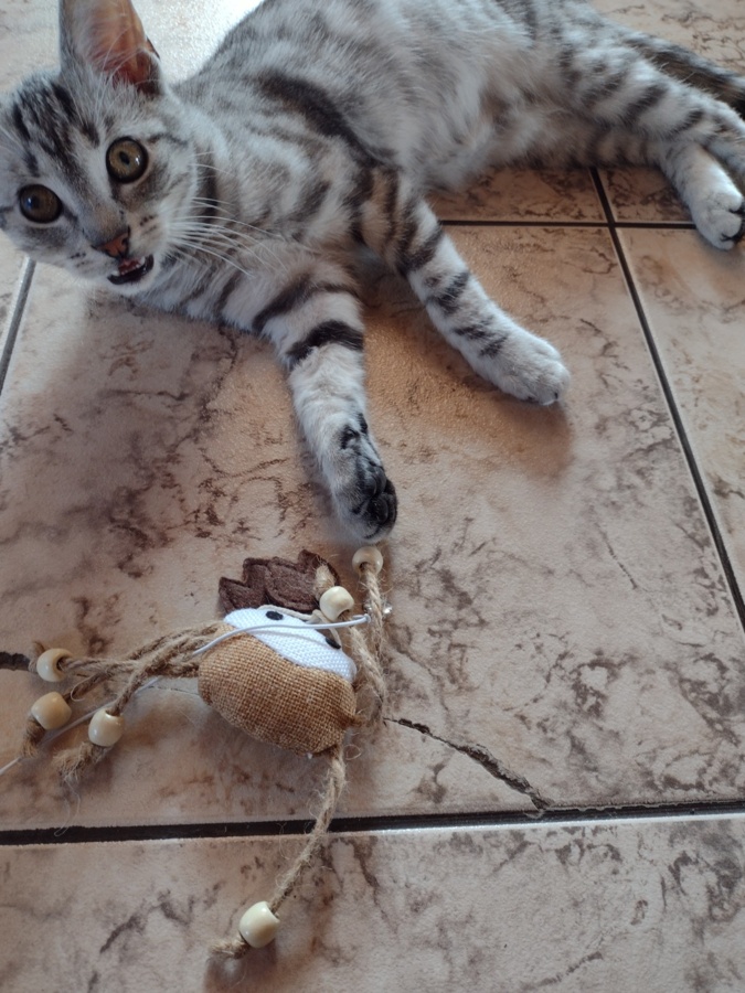 be18be1a-b0ae-4459-b585-8bcac8aaefe4