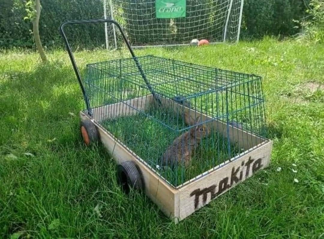 6b885960-1b2d-4ac8-85bd-3d5247d2e5d9