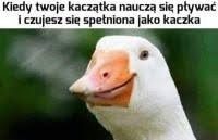 35a41764-d73a-45b1-badf-4fc0aa75a706