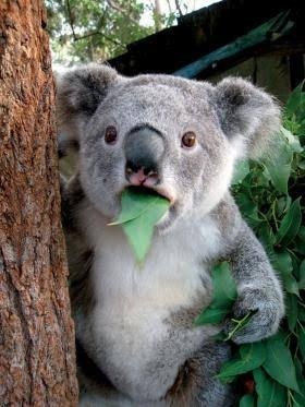 7d98e71d-255e-4018-8096-77b3b4d1ccaf